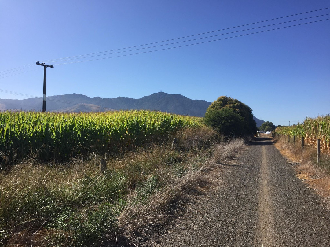 Hauraki Rail Trail景点图片