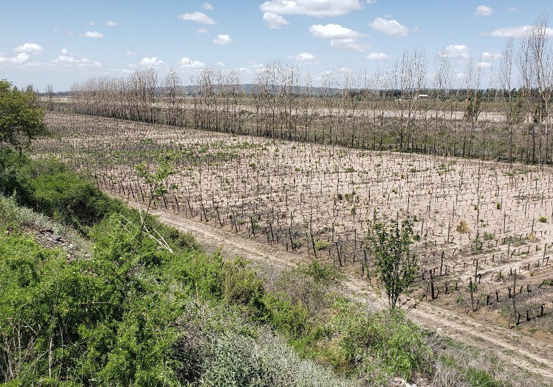 Rio Bike Park-路冉得库约必去景点