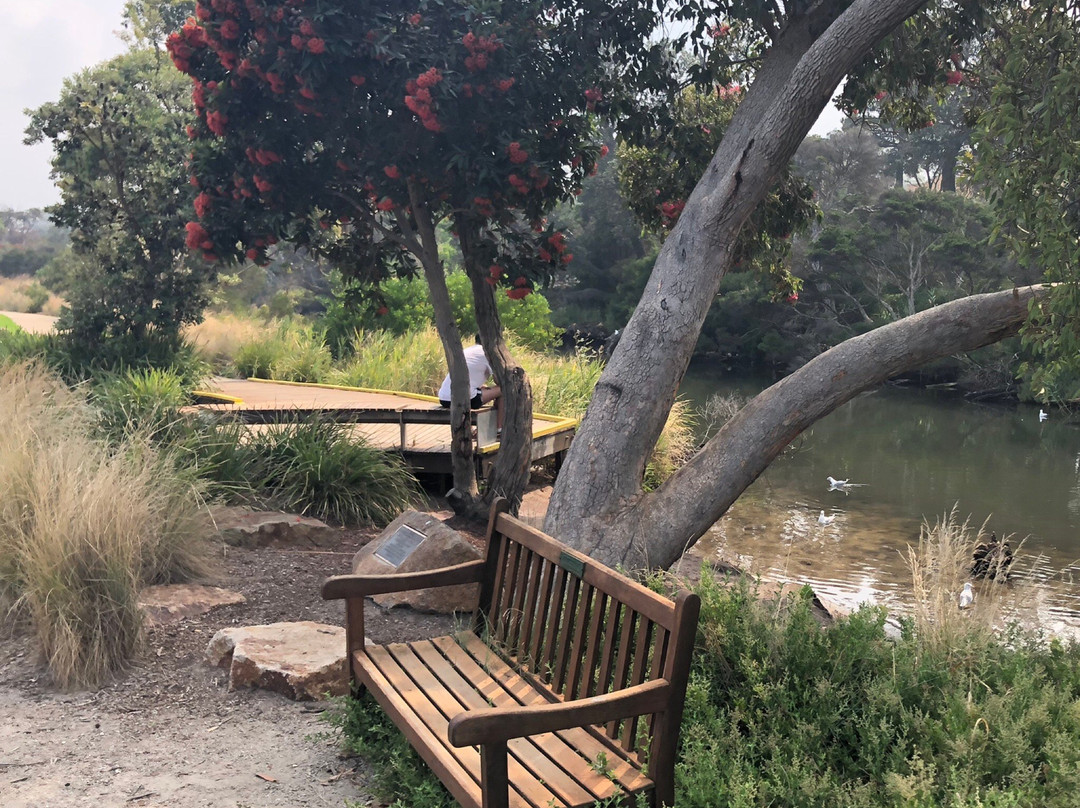 Broughton Reserve-锡福德必去景点