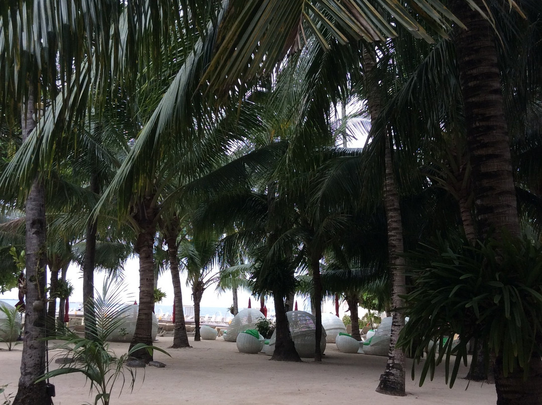 科斯塔贝拉热带海滩度假村主图