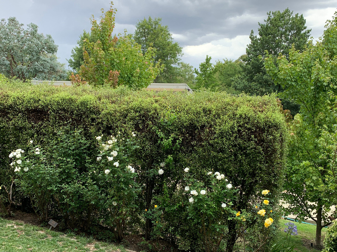 Birches of Daylesford主图