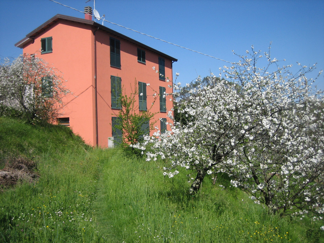 Agriturismo Casalino主图
