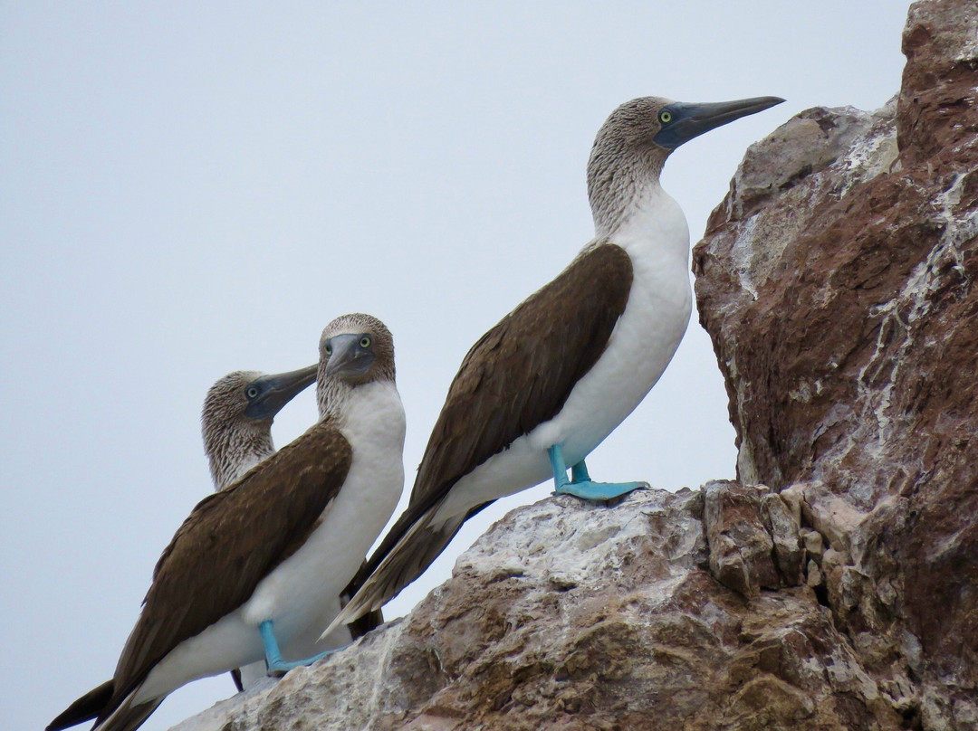 Gary's Dive shop-圣卡洛斯必去景点