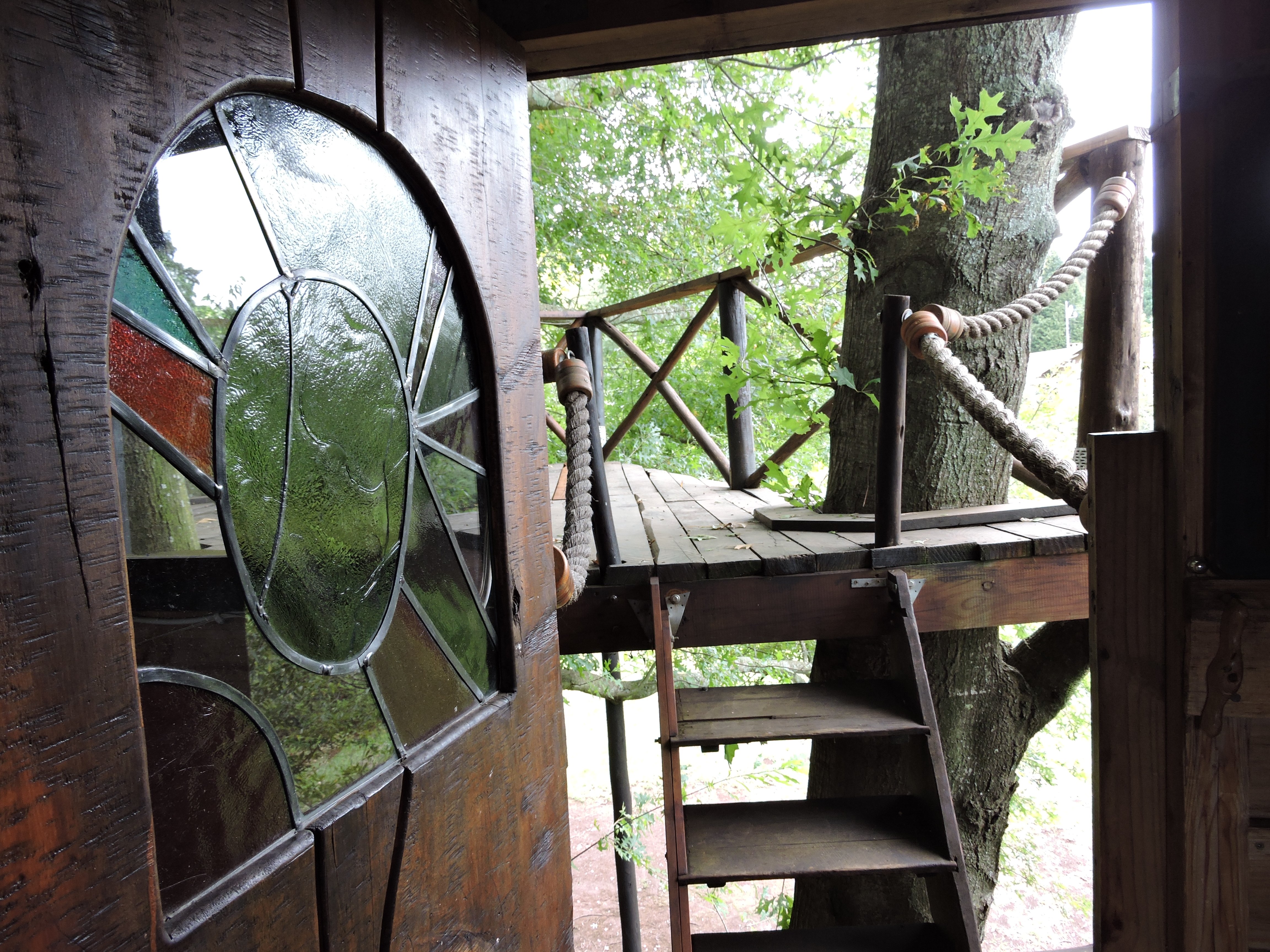 Sycamore Avenue Treehouses-酒店景观