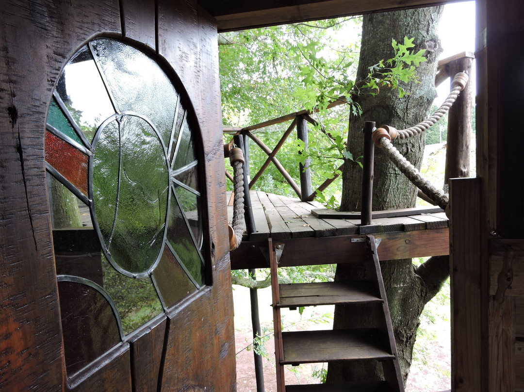 Sycamore Avenue Treehouses主图