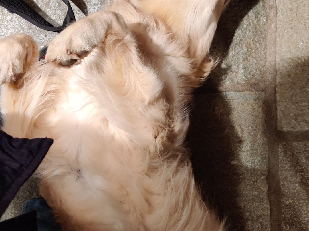 Tenuta la Cascinetta主图