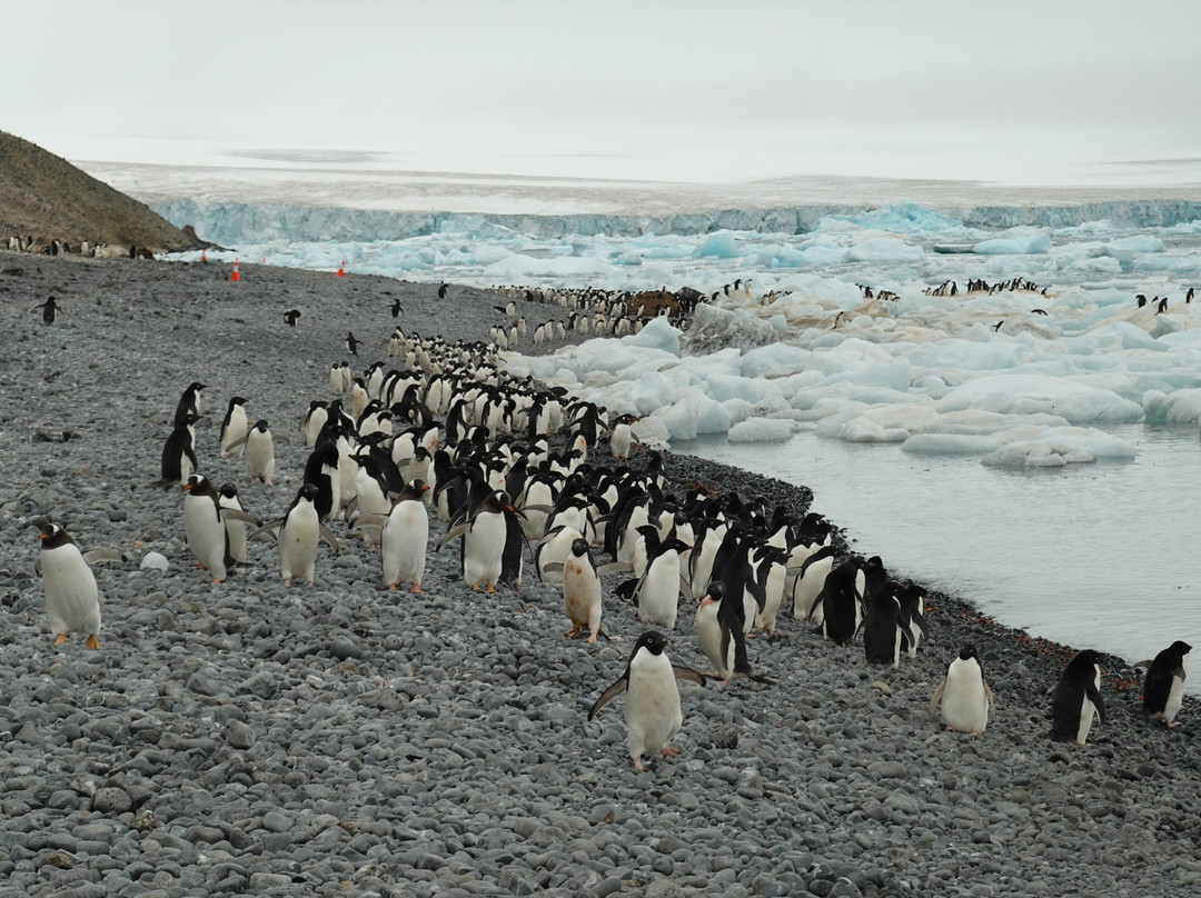 Brown Bluff-Antarctic Peninsula必去景点