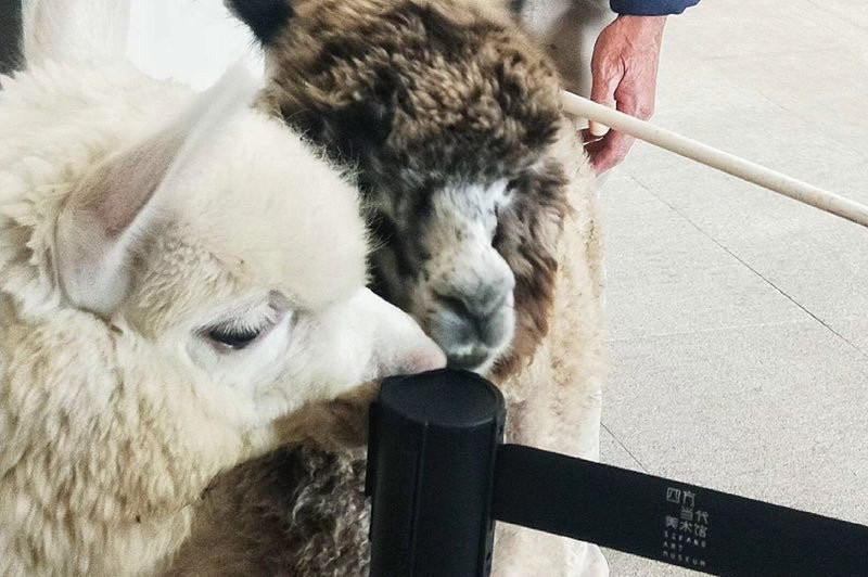 四方当代美术馆-南京市必去景点