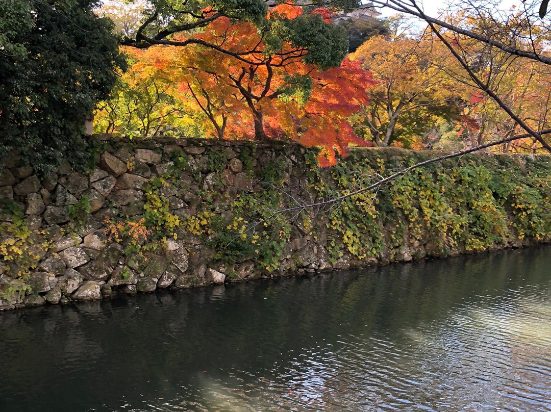 Himeji Park-姬路市必去景点