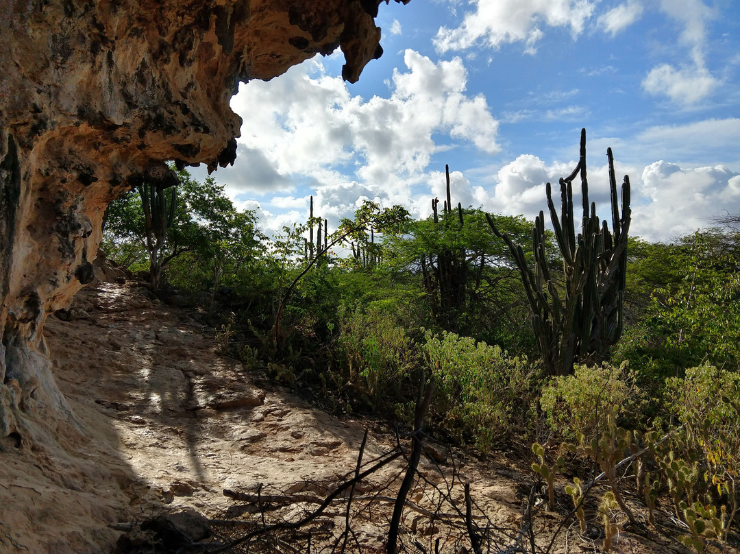 Outdoor Bonaire-Kralendijk必去景点