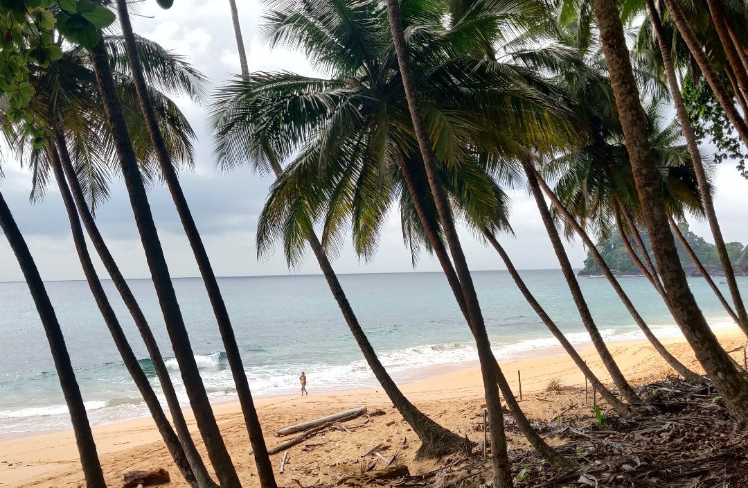 Praia Jale景点图片