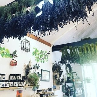 Lavender Backyard Garden-汉密尔顿必去景点