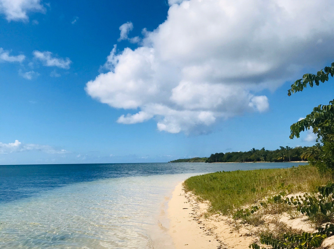 Vincent Excursions-Morne-A-l'Eau必去景点