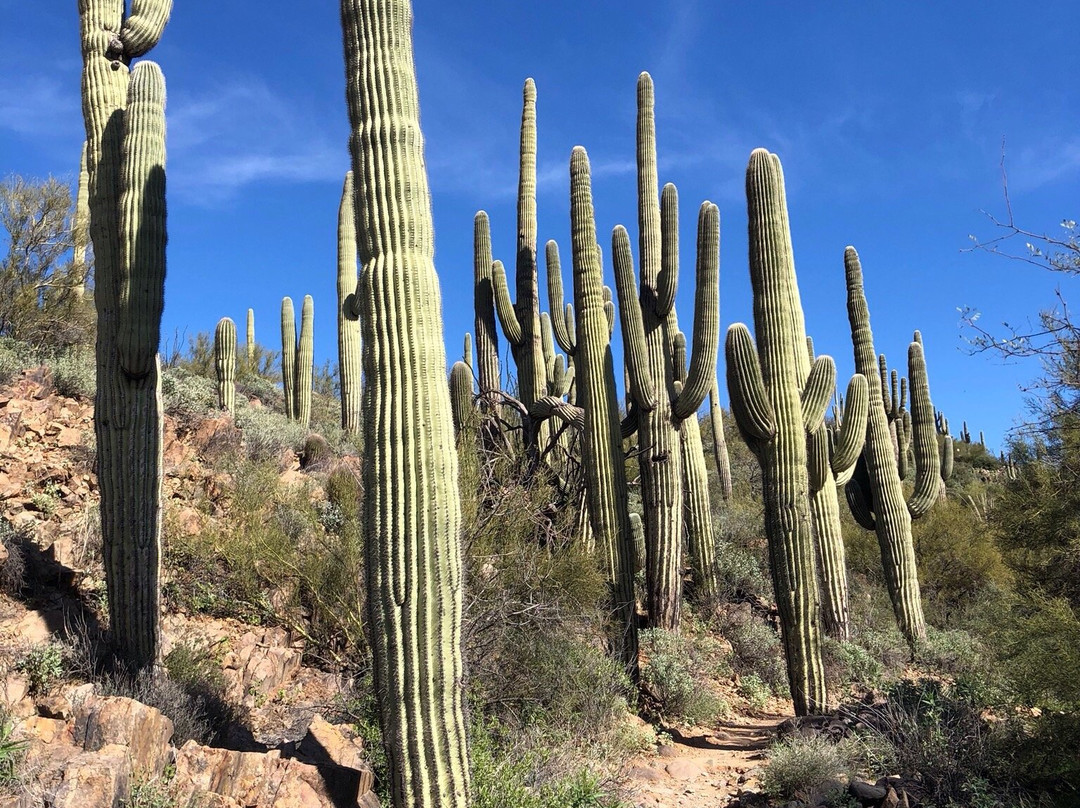 Spur Cross Ranch-洞溪必去景点