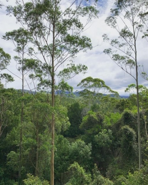 EcOasis Resorts主图