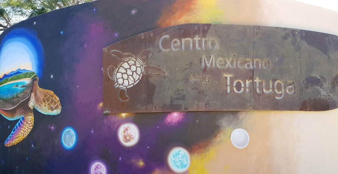 Centro Mexicano de la Tortuga景点图片