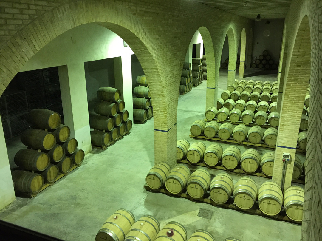 Bodegas Irache-Ayegui必去景点