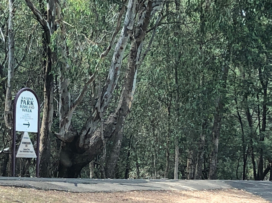 Kaluna Park-Wangaratta必去景点