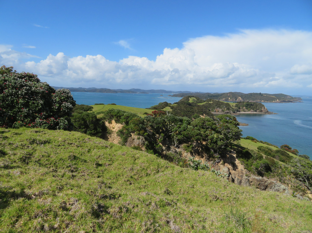 Urupukapuka Island景点图片