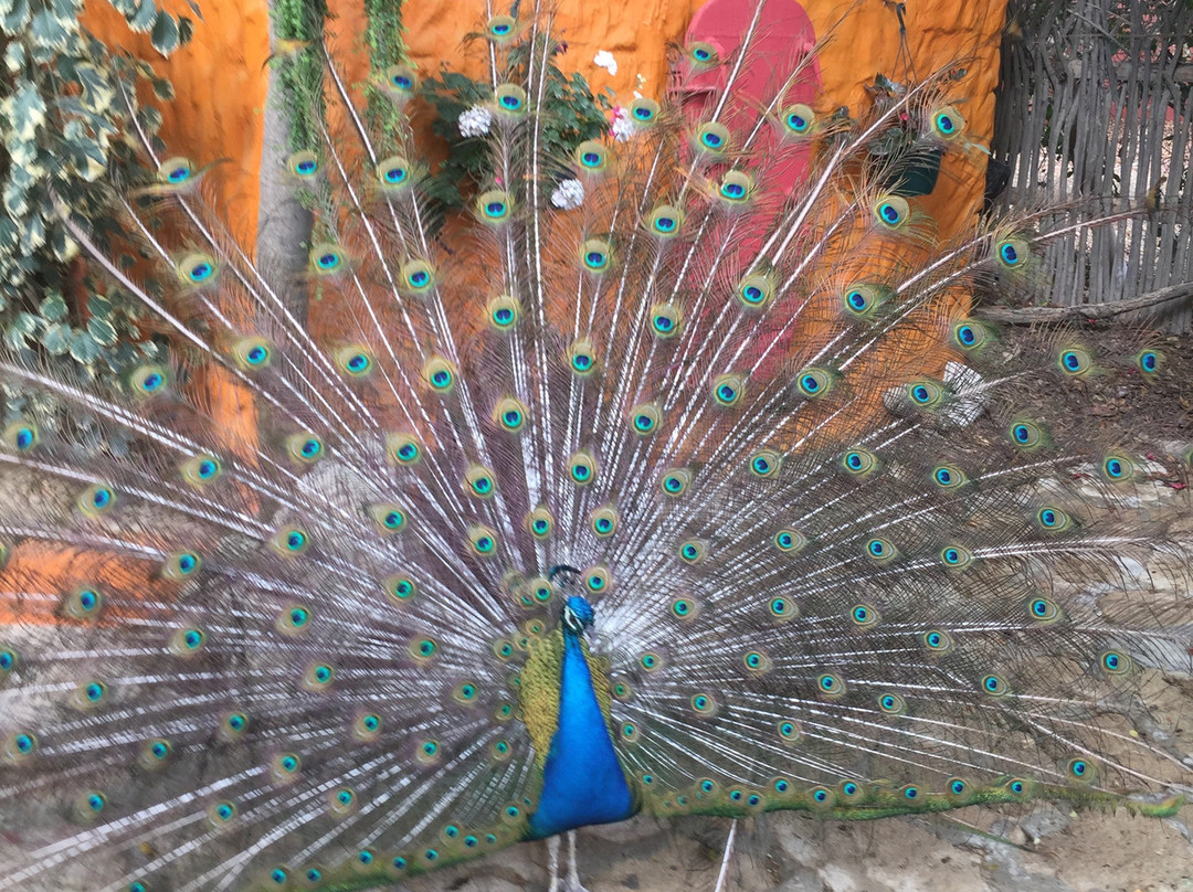 Hosteria  Ecologica El Faro主图