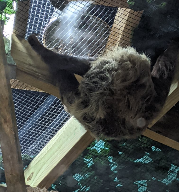 SeaQuest Trumbull-特兰伯尔必去景点