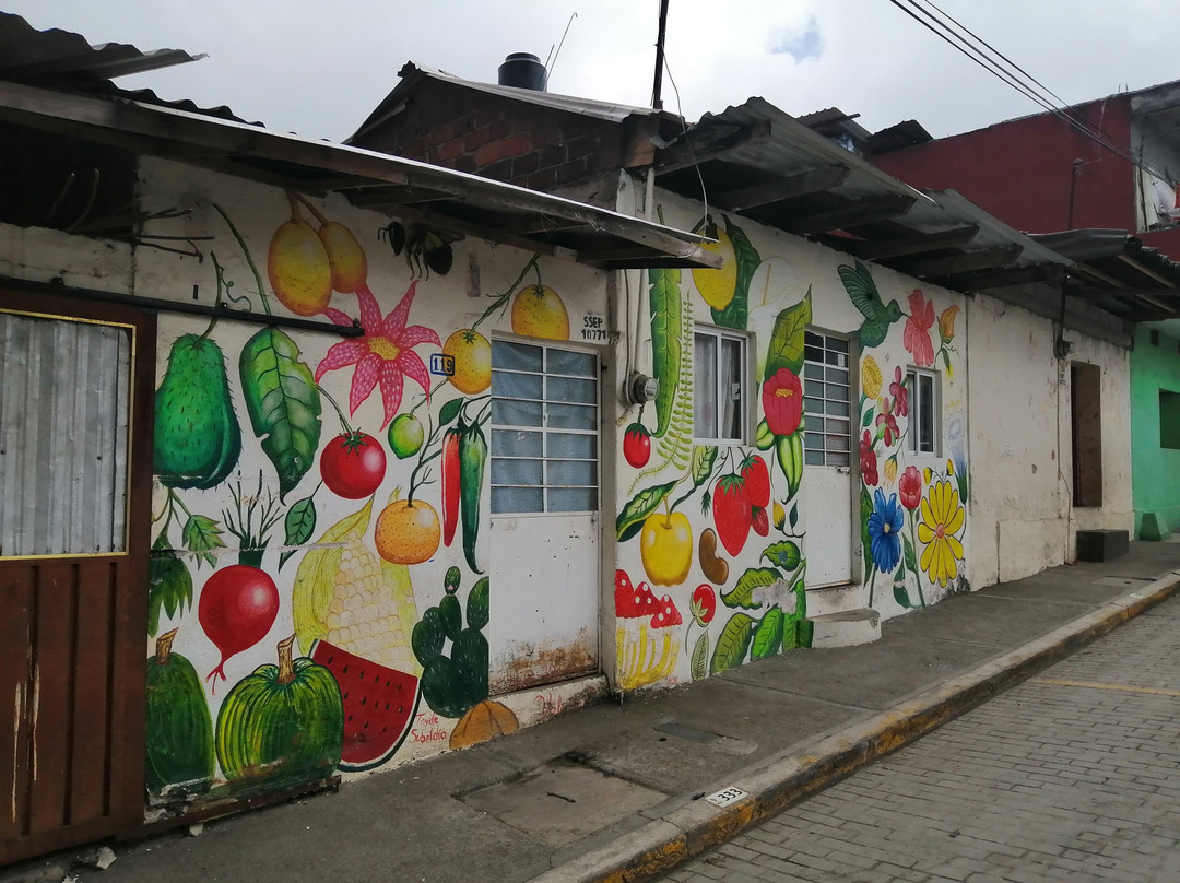 La Xochipila-Xicotepec必去景点