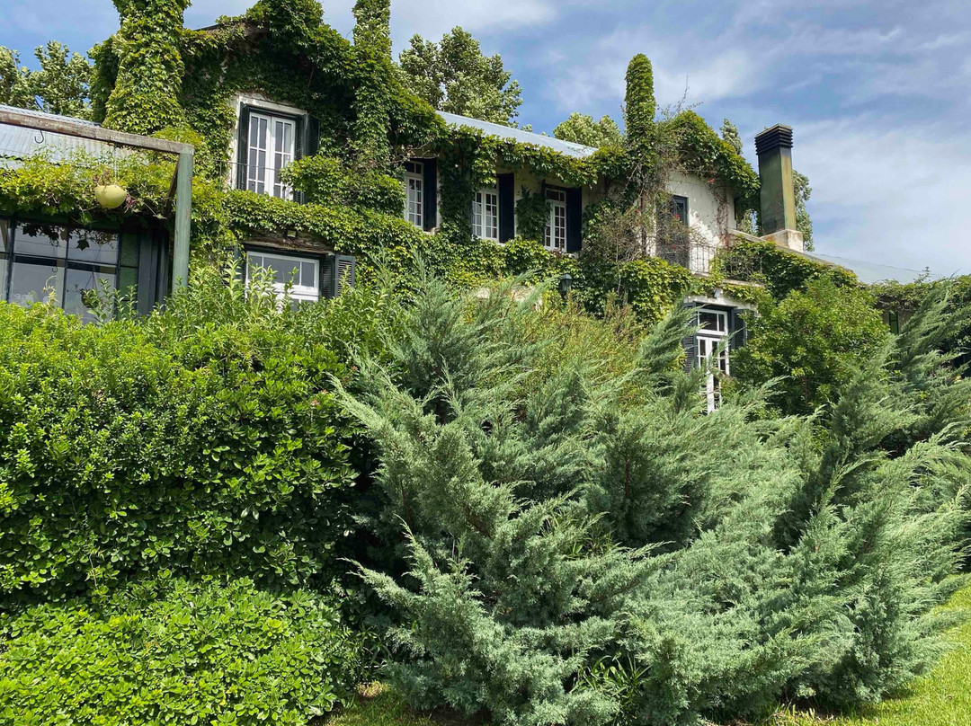 La Casa de los Limoneros主图