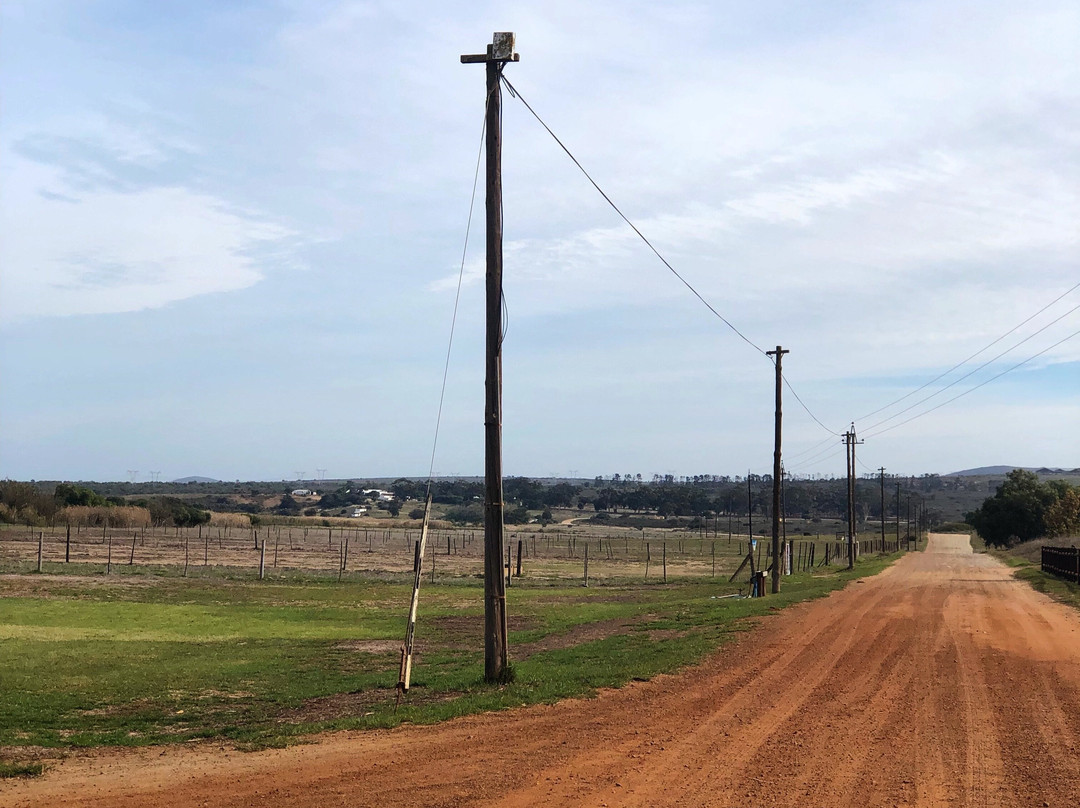 Groote Post Winery-Darling必去景点