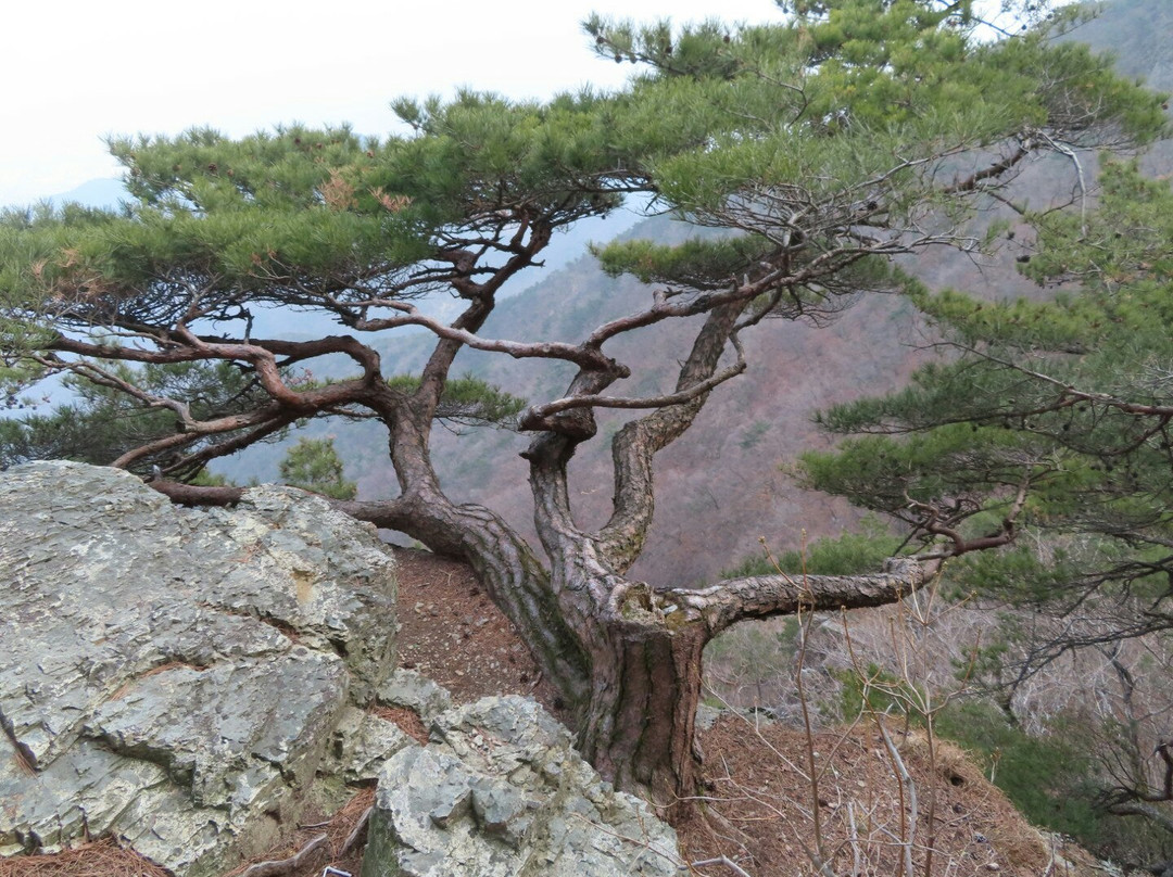 Geumosan Provincial Park-龟尾市必去景点