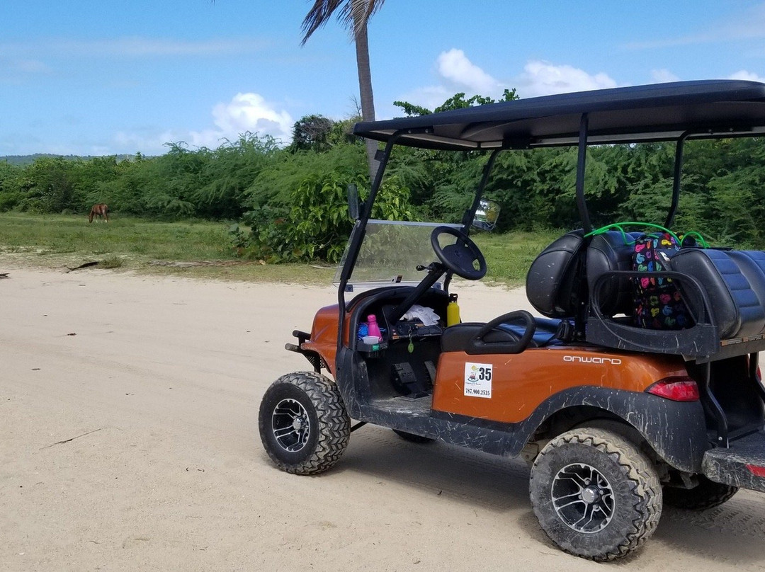 Vieques UTV Rental景点图片