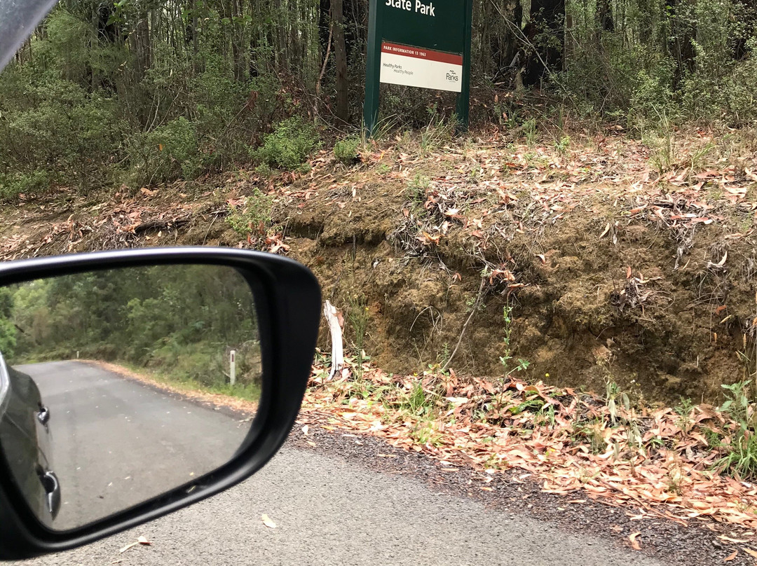 Bunyip State Park-Gembrook必去景点