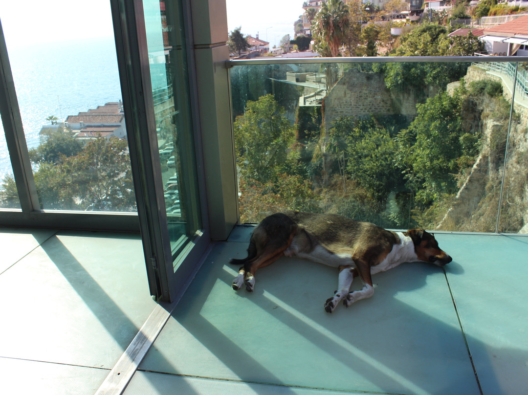 Panoramic Elevator of Antalya-安塔利亚必去景点