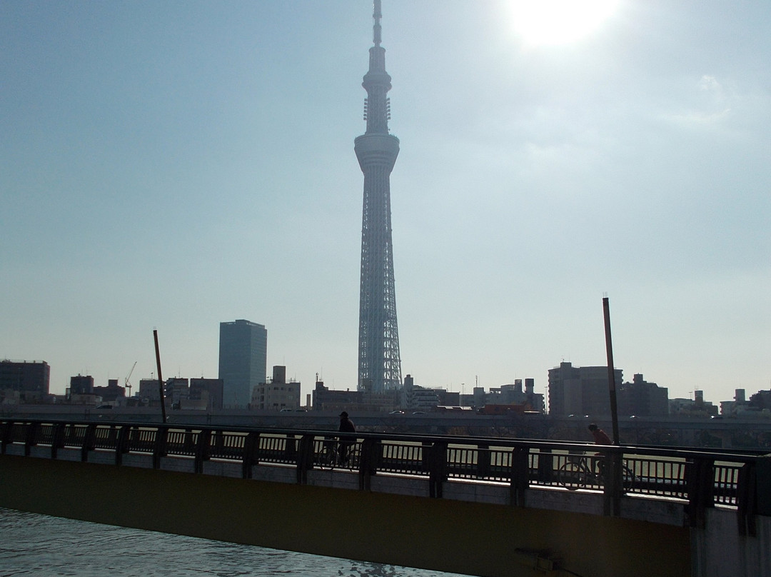 Sakura Bridge-Mukou-jima必去景点