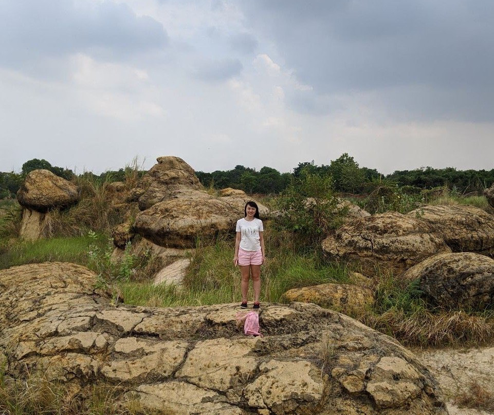 Jamur Hill景点图片