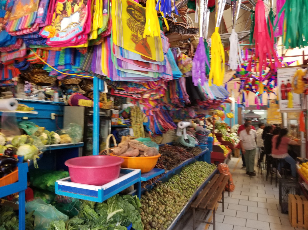 Mercado Ignacio Ramirez景点图片