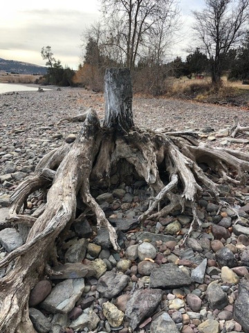 Big Arm State Park-Big Arm必去景点