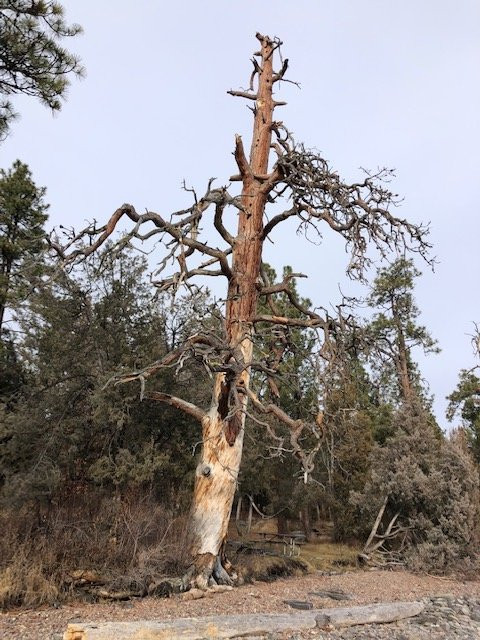 Big Arm State Park-Big Arm必去景点