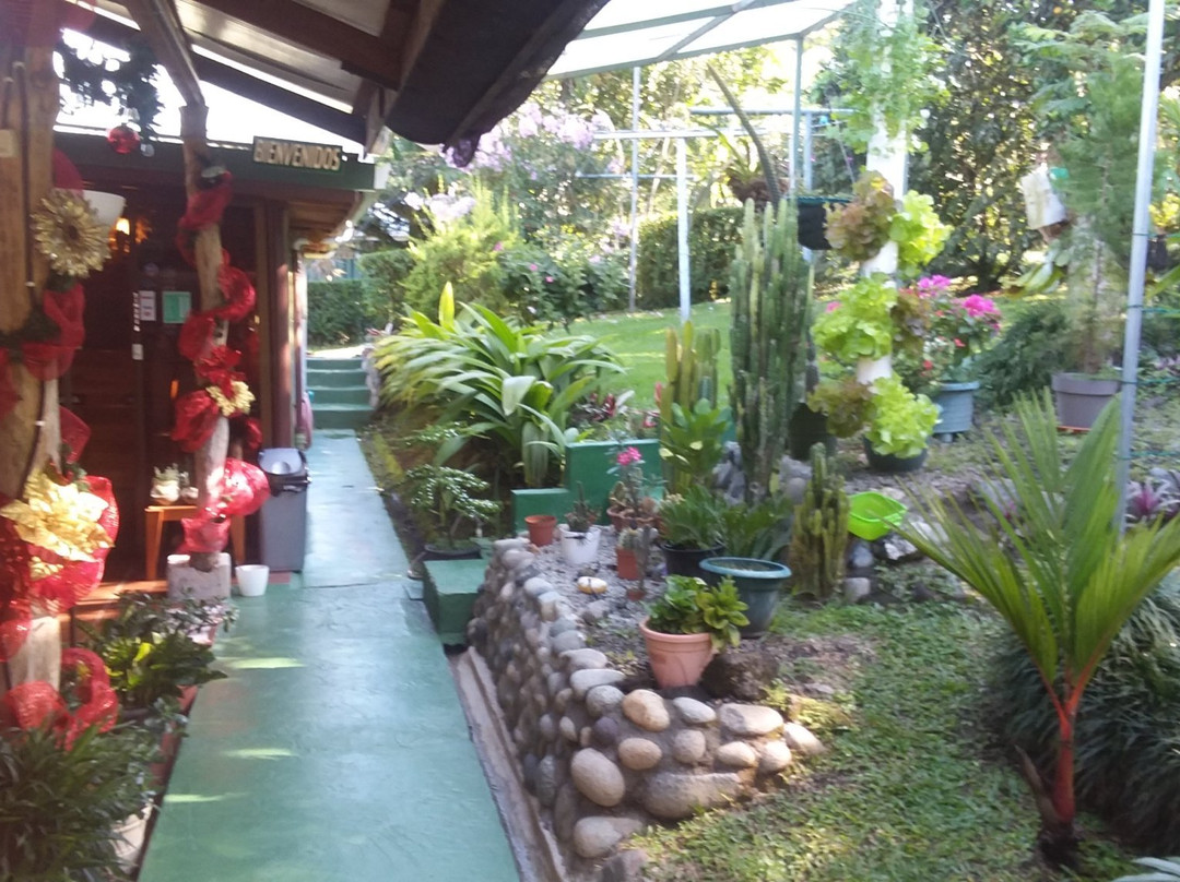 Cabañas Green House主图