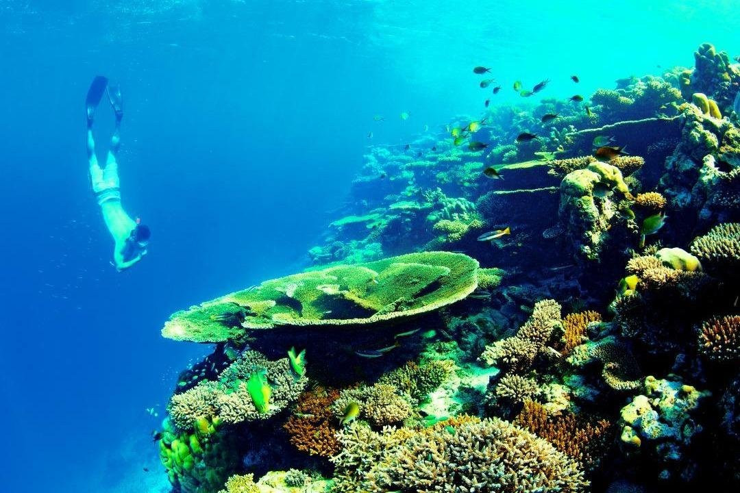 Lucido Maldives Tour-马累必去景点