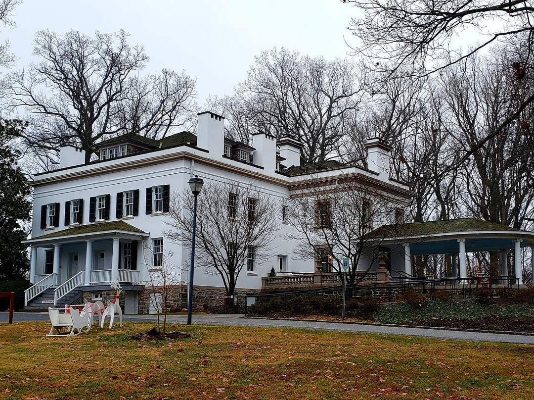 Liriodendron Mansion景点图片