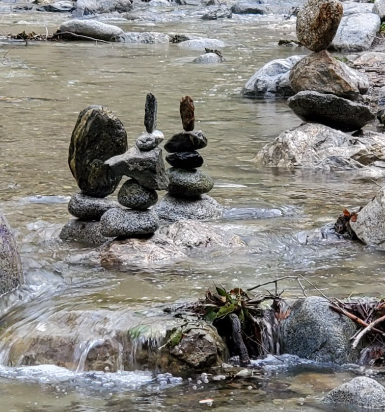 Eaton Canyon Natural Area景点图片