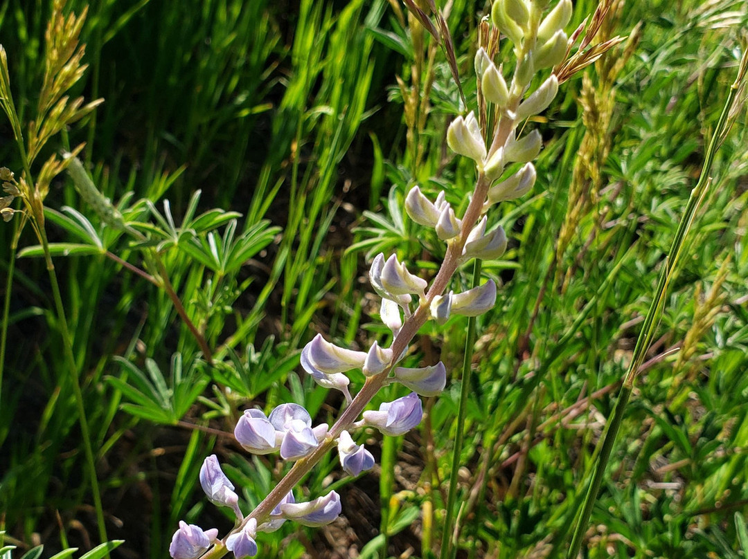 Park Point-梅萨维德国家公园必去景点