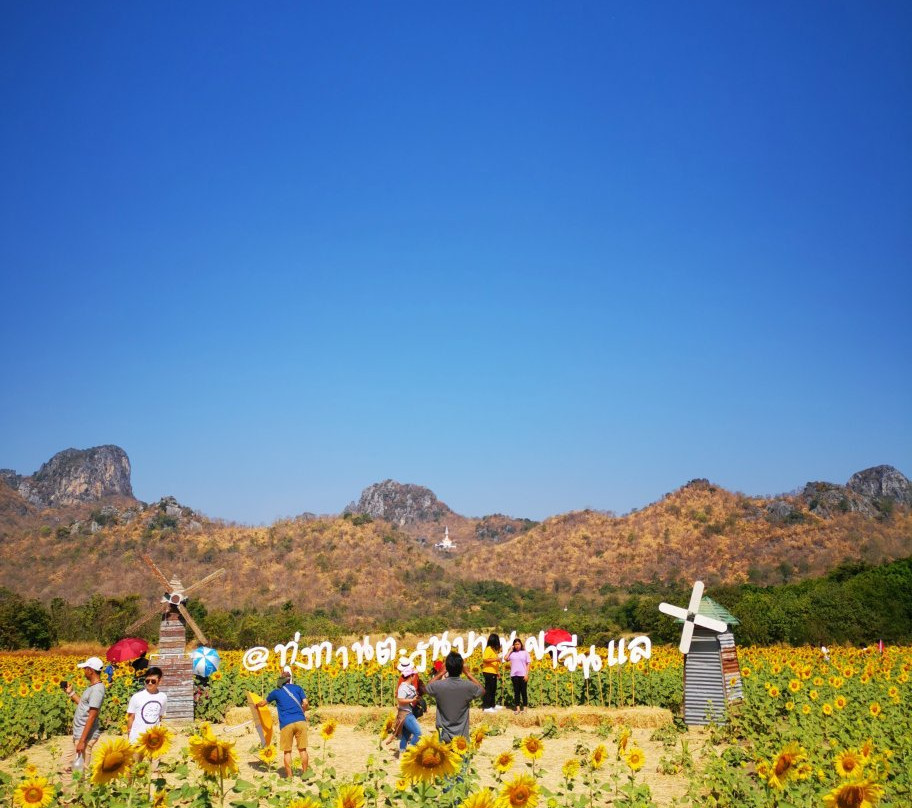 Khao Chin Lae Sunflower Field景点图片