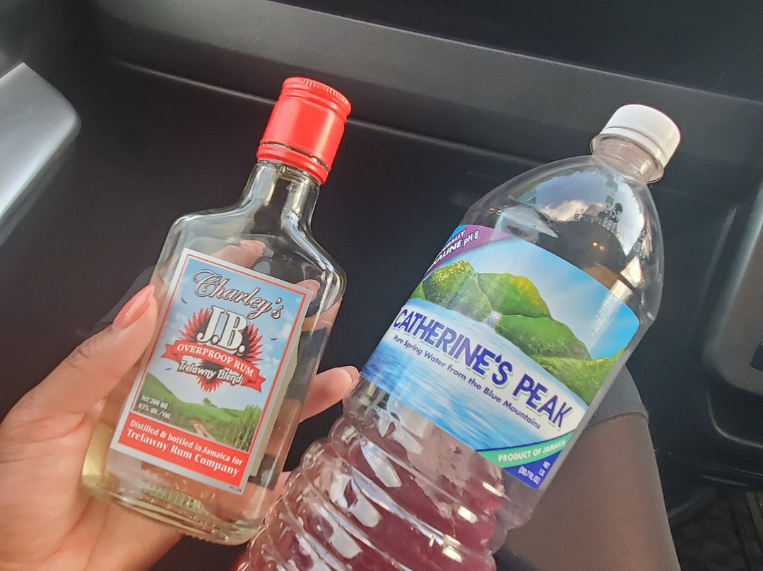 Cross Jamaica Tours-内格里尔必去景点