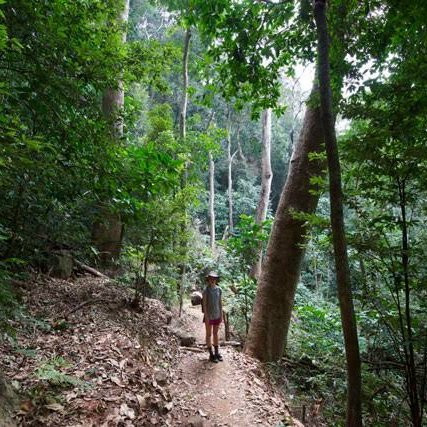 null-Udzungwa Mountains National Park