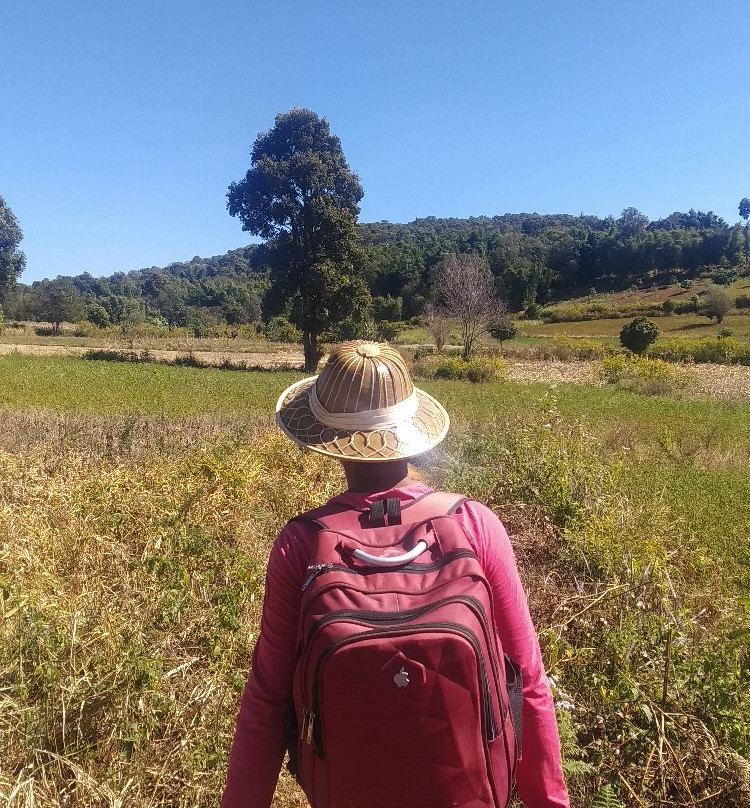 Green Land Trekking Kalaw-格劳必去景点