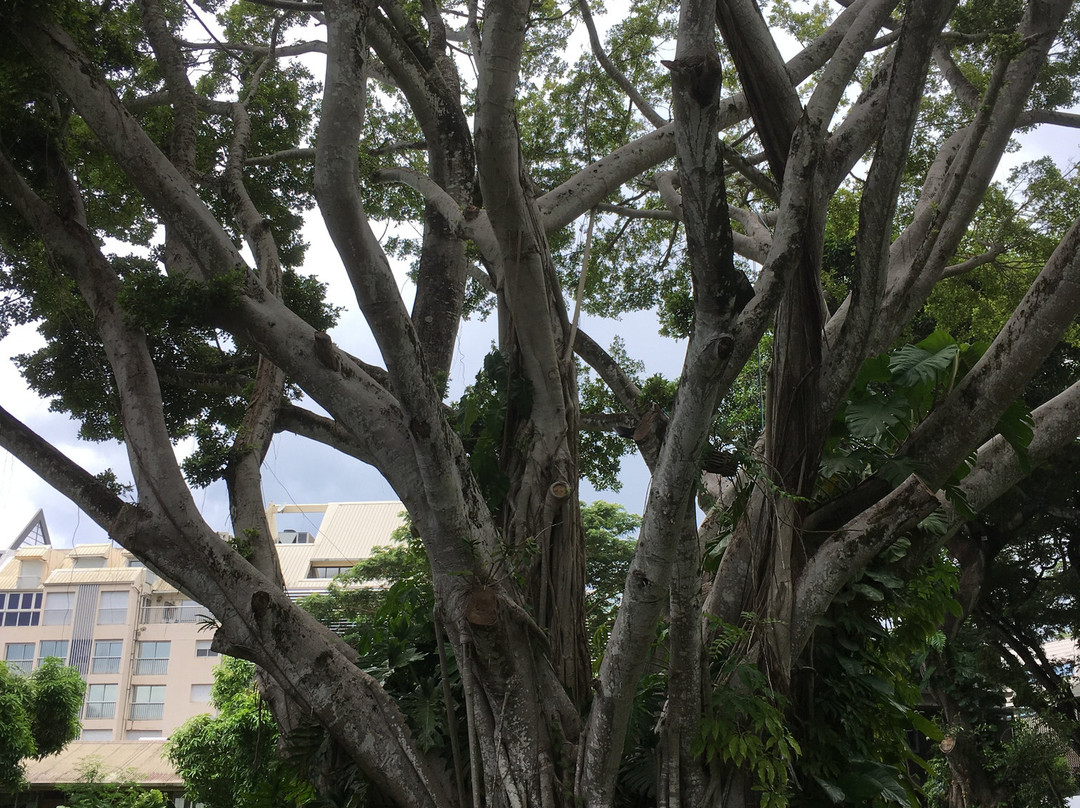 Assemblee De La Polynesie Francaise景点图片