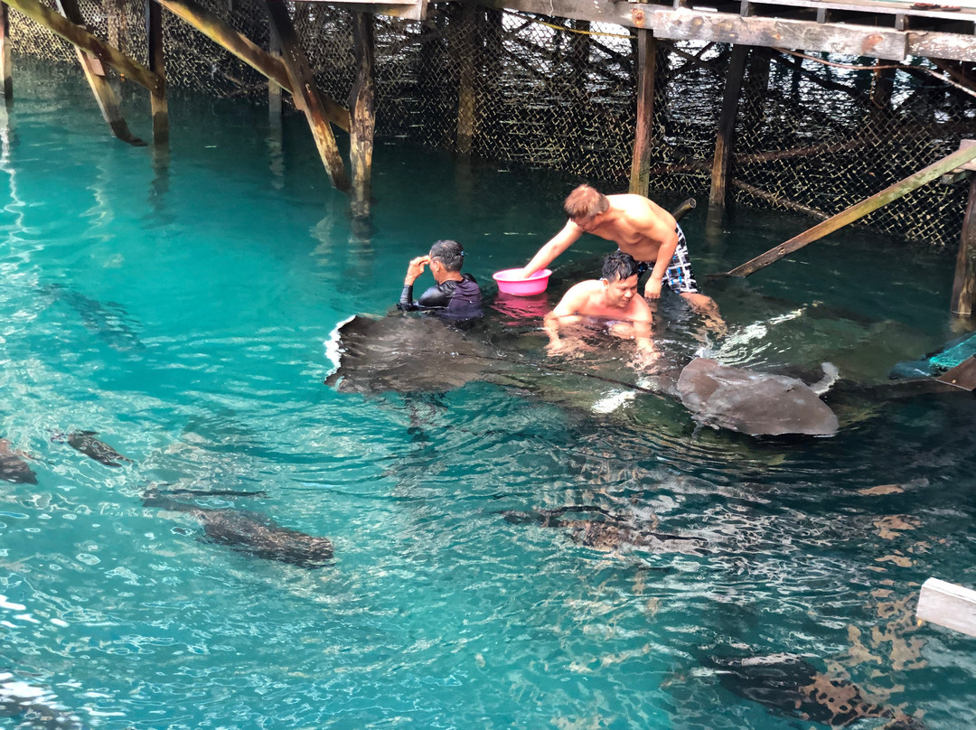 Sibadan Fish Cage主图