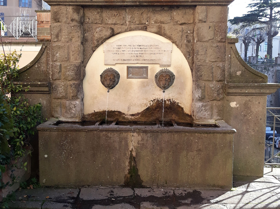 Memoriale A Fontana Dei Leoni景点图片