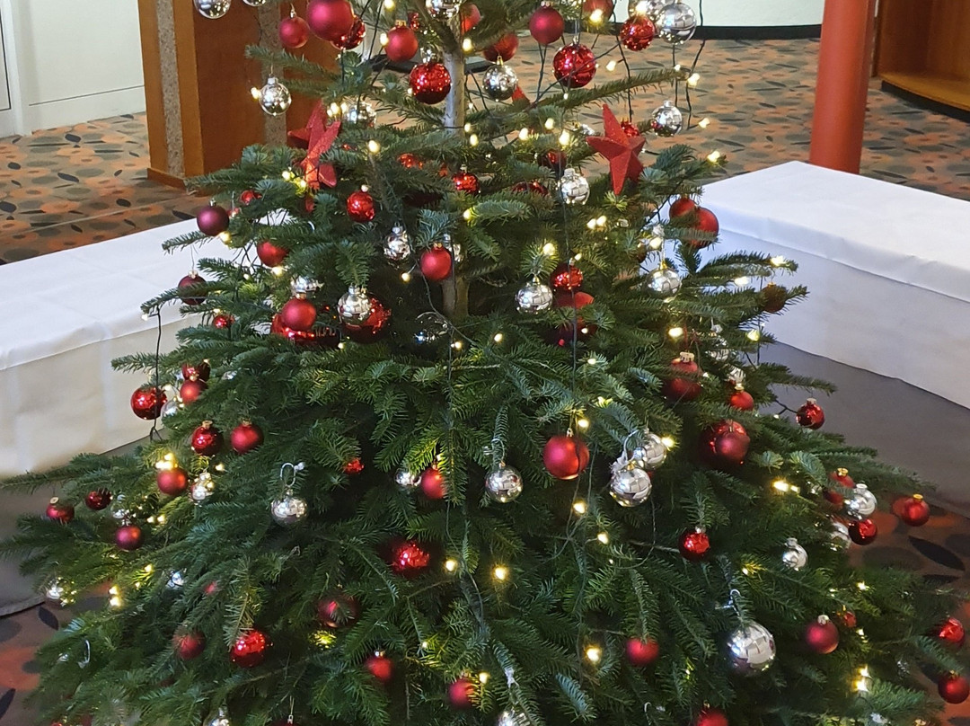 威斯巴登-尼德豪森米卡杜尔华美达酒店主图